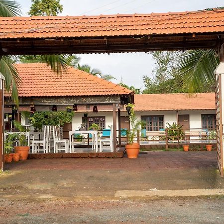 Dhanrains Moonlight Retreat Cottages 帕罗林 外观 照片