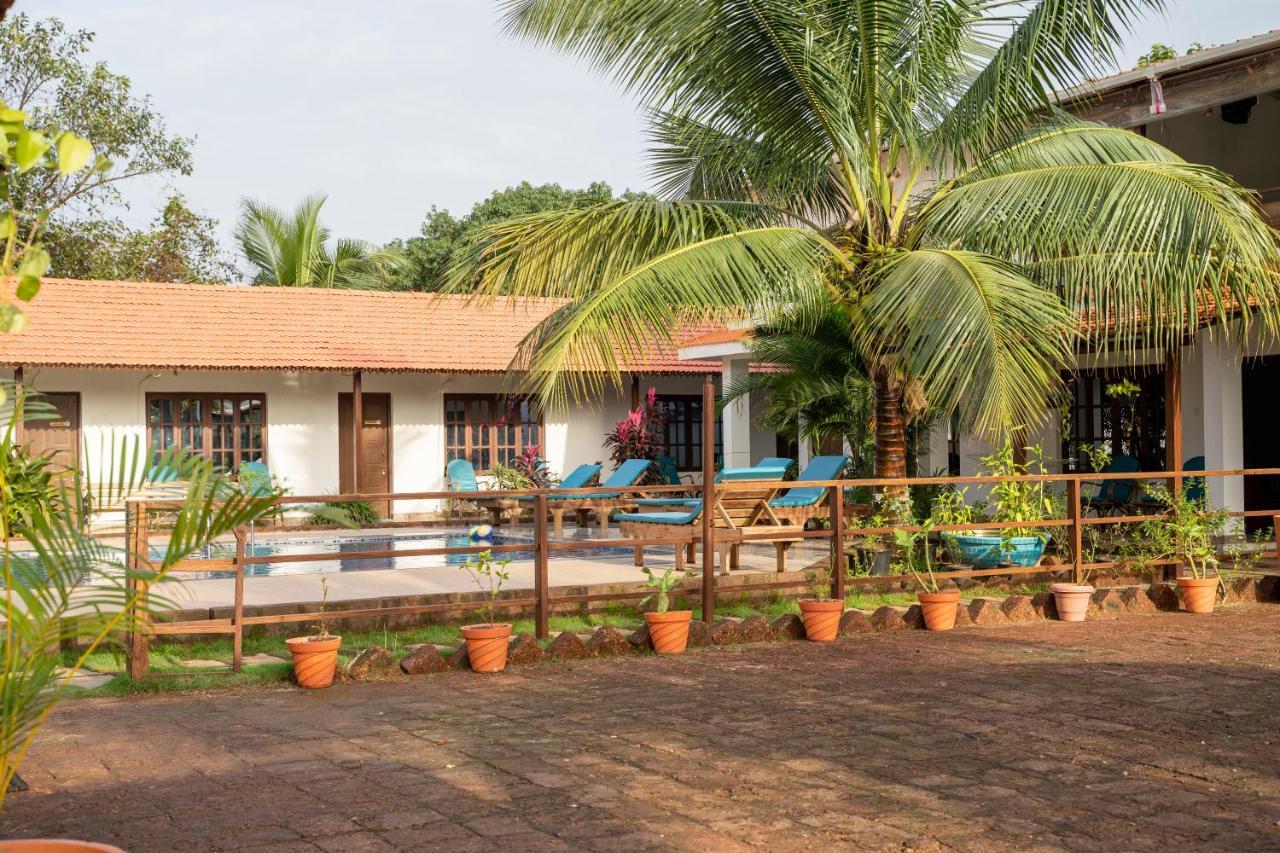 Dhanrains Moonlight Retreat Cottages 帕罗林 外观 照片